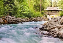 Komunitas Peduli Sungai Giat Lestarikan Alam Selamatkan Lingkungan Hidup