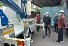 Pemkab Klungkung Siapkan Truk Tangga untuk Penataan Pohon