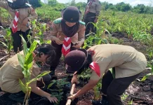 Pramuka Jadi Gerakan Nyata Dukung Swasembada Pangan Menuju Indonesia Emas 2045