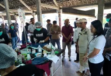 Cegah Penyebaran Rabies, Vaksinasi Hewan Peliharaan Digencarkan di Klungkung