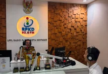 PLN Ingatkan Warga Rayakan Kemerdekaan Tanpa Abaikan Keselamatan Listrik