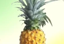 Manfaat Buah Nanas bagi Kesehatan