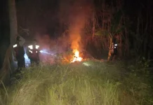 Kebun Luas 5 Are di Melaya Terbakar, Diduga akibat Puntung Rokok