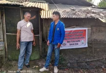 Potensi Limbah Pertanian Lokal Bahan Pakan Fermentasi Babi Nutrisi Tinggi