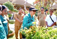 Aku Hatinya PKK HKG PKK Ke-54 Kabupaten Tabanan