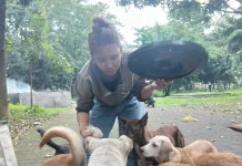 Kepedulian Gusti Ayu Sri Trisna Dewi kepada Anjing Liar