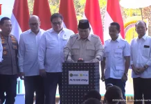 Prabowo Luncurkan Program PLTS 100 GWp, Diawali 14 Proyek di Enam Provinsi
