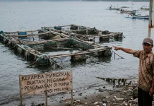 Keramba Mangkrak, HNSI Melaya Soroti Pengawasan Bantuan Pemerintah untuk Nelayan