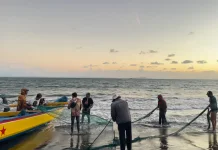 Potensi Maritim Bali Belum Optimal, Nelayan Terkendala Modal Budidaya