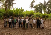 Nuanu Dukung Reforestasi Batukaru, 100 Pohon Dirawat Selama Setahun