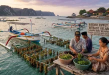 Solusi Ekonomi Pesisir, HNSI Dorong Optimalisasi Budidaya Laut di Bali