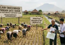 Validitas Data dan Tantangan El Nino, Perhepi Bali Soroti Klaim Swasembada Pangan