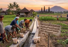Antisipasi Kekeringan, Petani Dimbau Terapkan Varietas Tahan Cuaca