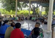 Subak Toye Hee Bahas Pola Tanam Padi Tahap III