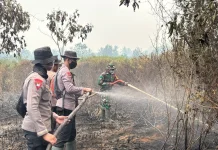 Brimob Polda Bali Bantu Padamkan Karhutla Kubu Raya