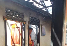 Diduga Api Dupa, Rumah Berisi Uang Tunai Puluhan Juta Ludes Terbakar di Jembrana