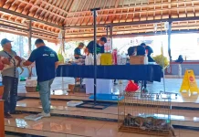 Kasus Positif Rabies Meningkat, Jembrana Gelar Vaksinasi dan Sterilisasi HPR