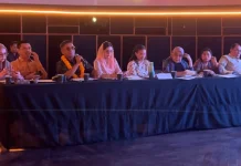 DPR RI Dorong Sistem Kredit bagi Pelaku Ekraf