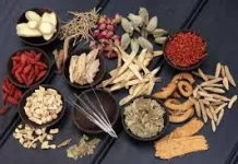 Ini dia, 13 Jenis Tanaman Obat yang Sebaiknya ada di Rumah