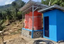 Demi Bertahan, Petani Dataran Tinggi Buleleng Beli Air dan Adaptasi Tanaman