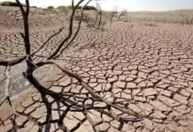 El Niño Picu Kekeringan, Ini Penjelasan dan Dampaknya