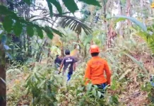 Lansia Hilang di Jembrana Ditemukan Linglung Dekat Sungai