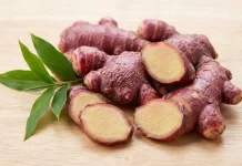 Jahe Merah Kaya Senyawa Bioaktif, Ini Manfaatnya bagi Tubuh
