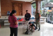 Babinsa Wongaya Gede Dukung Pencegahan Rabies