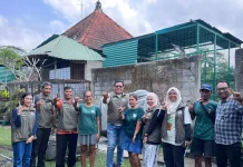 BKSDA Bali Perkuat Kolaborasi Konservasi Bersama Bali Monkey Rescue