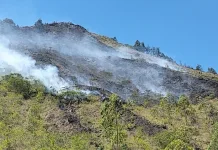 Puncak Kemarau, Lereng Gunung Batur Rawan Karhutla