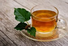 Resep Teh Daun Murbei Rumahan: Bebas Getah Sepat, Kaya Antioksidan