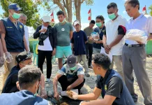 Inovasi KKN Warmadewa: Sulap Limbah Ternak jadi Pupuk Organik