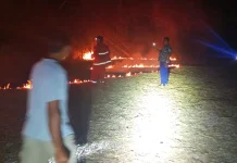 Lahan Rumpun Bambu Milik Warga Perancak Hangus Terbakar