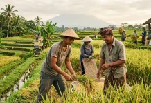 Hari Tani Nasional 2026, Reforma Agraria Perkuat Ketahanan Pangan