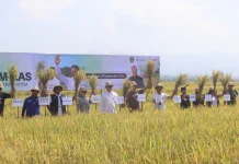 Tingkatkan Produktivitas, Bupati Kembang Dorong Penerapan PM-AAS