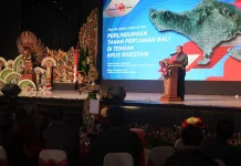 Tekanan Pembangunan Meningkat di Tengah Pertumbuhan Pariwisata Bali