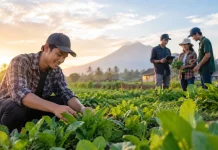 Regenerasi Petani Kunci Masa Depan Pertanian