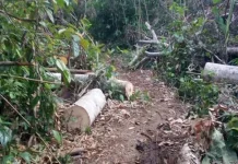Katiga Kangkang, Ada Risiko yang Tak Boleh Diabaikan