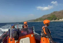 Tim SAR Lakukan Pencarian Penumpang KMP Cemerlang 55 Jatuh di Perairan Gilimanuk