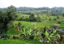 MoU Kontrak Harga Beri Kepastian Pasar bagi Petani dan Serap Hasil Pertanian