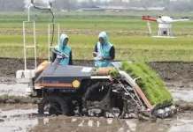 Teknologi Pertanian di Bali Terhambat Lahan Sempit dan Minim Regenerasi Petani