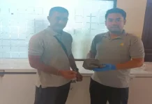 Warga Gianyar Serahkan Trenggiling Terluka ke BKSDA Bali