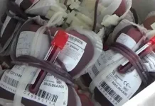 PMI Bali Targetkan Stok 120–125 Kantong Darah per Hari