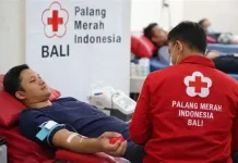 PMI Bali Ingatkan Pendonor Jaga Kondisi sebelum Donor Darah