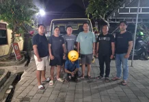 Polsek Payangan Ungkap Pencurian Mobil Engkel di Gianyar