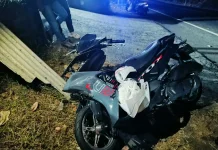 Nyalip Tronton di Jalur Tengkorak Denpasar-Gilimanuk, Pemotor Tewas di TKP