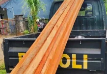 Dua Terduga Pelaku Perambah Hutan Jembrana Diamankan Polisi