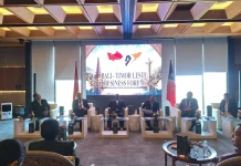 Pigai: Kerja Sama Indonesia-Timor-Leste Tak Cukup Hanya Bicara Investasi