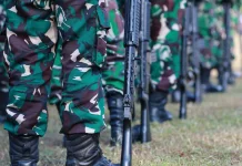 HUT ke-81 TNI, Pengamat Tekankan Batas Peran di Ranah Sipil