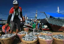 Kesejahteraan Petani, Nelayan hingga Pedagang Perlu Jadi Perhatian